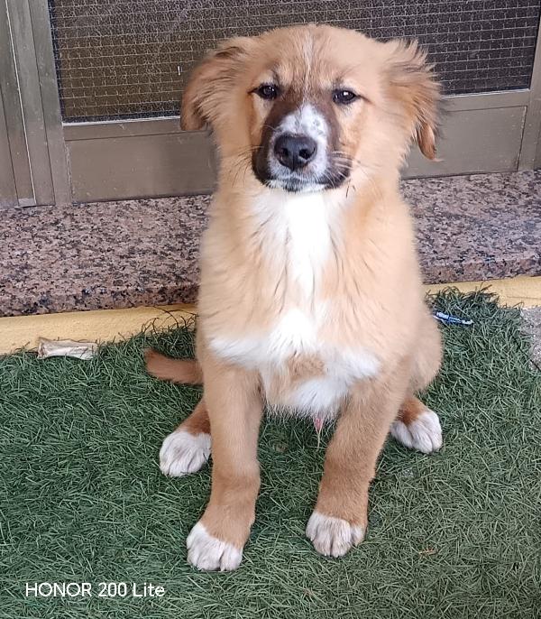 Orsacchiotto Bellissimo 😍