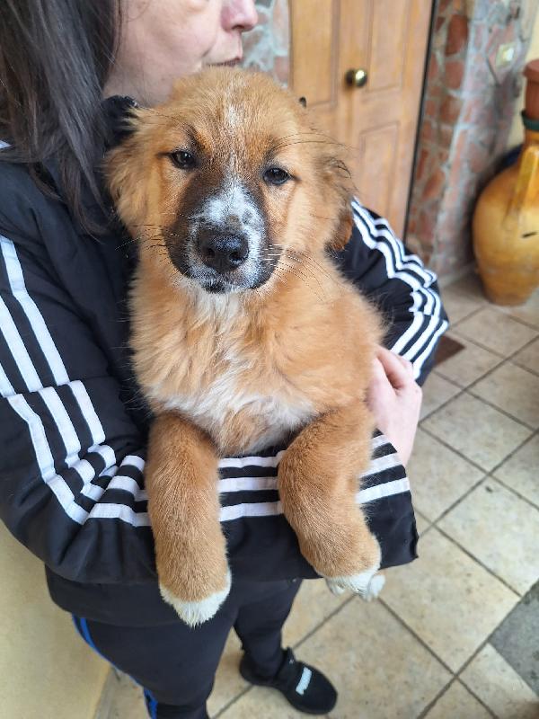 Orsacchiotto bellissimo 😍 Foto 2