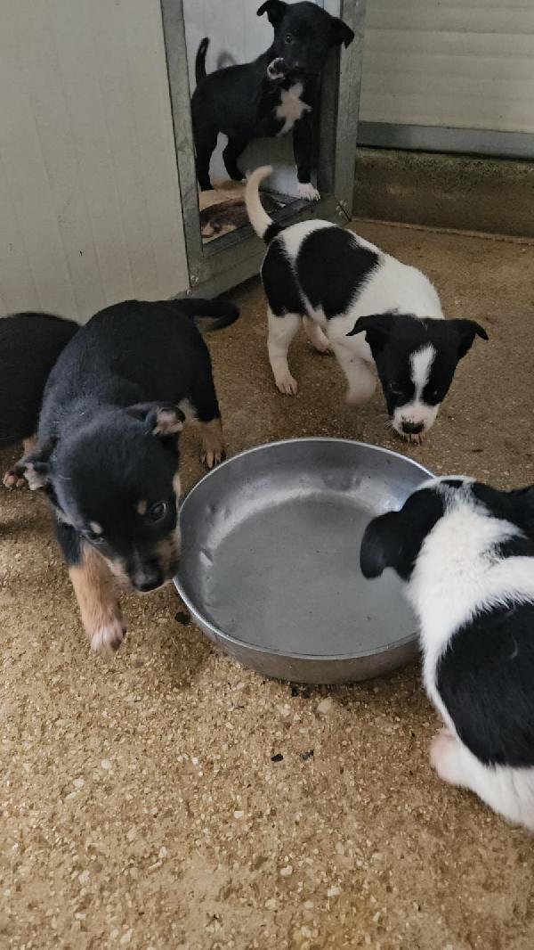 Stromboli: 2 mesi taglia contenuta  Foto 7