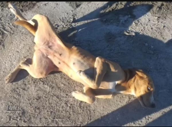 Livia 2anni occhi chiari diamole 1futuro!!  Foto 2