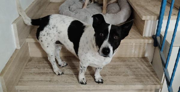 Jessy: Simpaticissima Nonnina Cerca Nuova Famiglia 