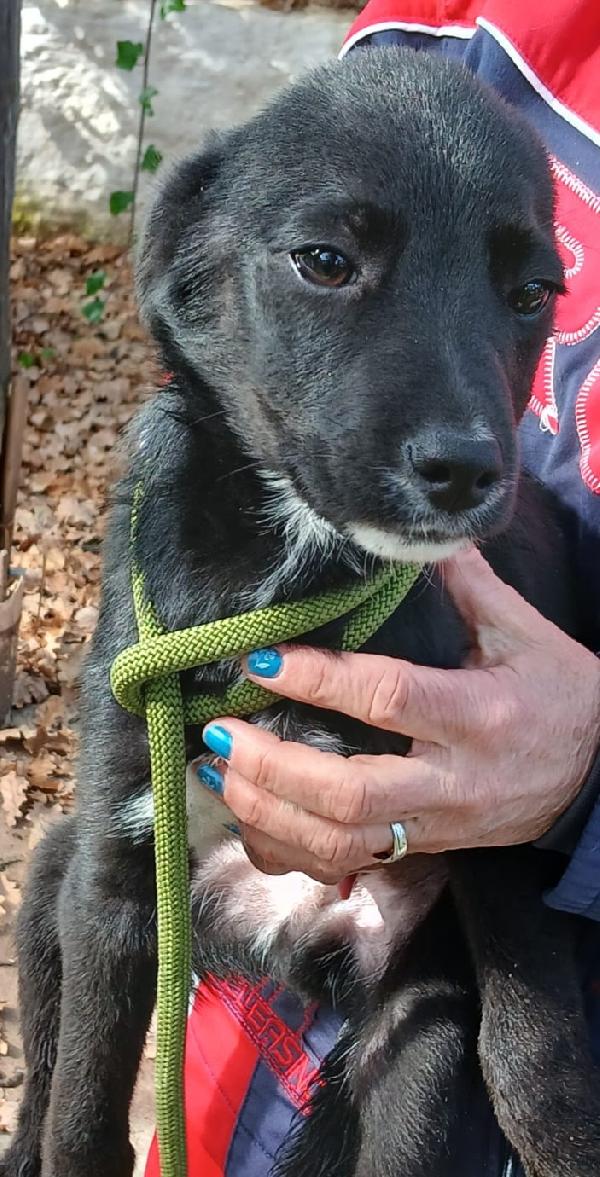 UNA MAMMA PER NOIR Foto 5