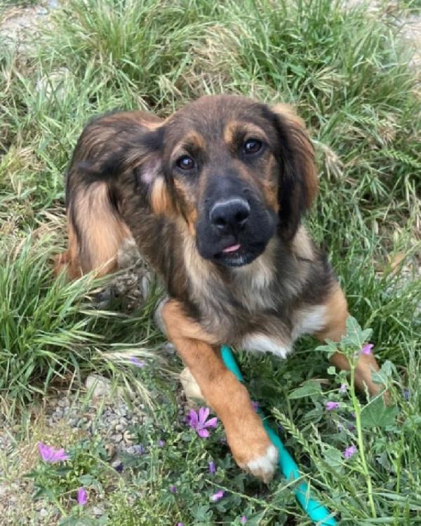 Aron 2Anni Meraviglioso Rimasto Solo In Box Cosenza