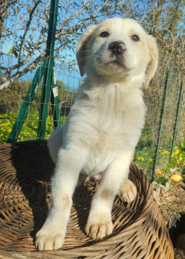 UNA MAMMA PER LORIS Foto 2