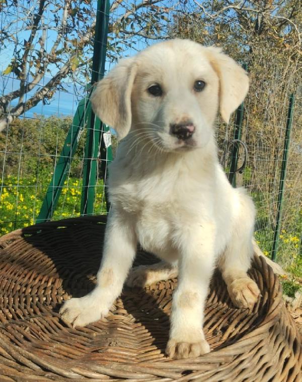 UNA MAMMA PER LORIS Foto 3