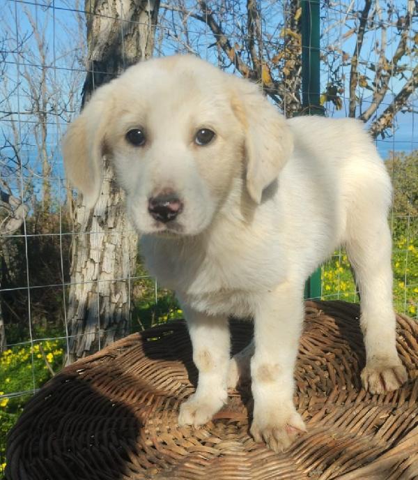 UNA MAMMA PER LORIS Foto 4