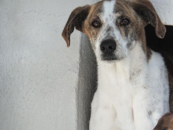 Roger bello e simpatico Foto 2