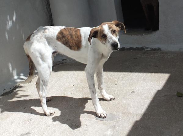 Roger bello e simpatico Foto 4