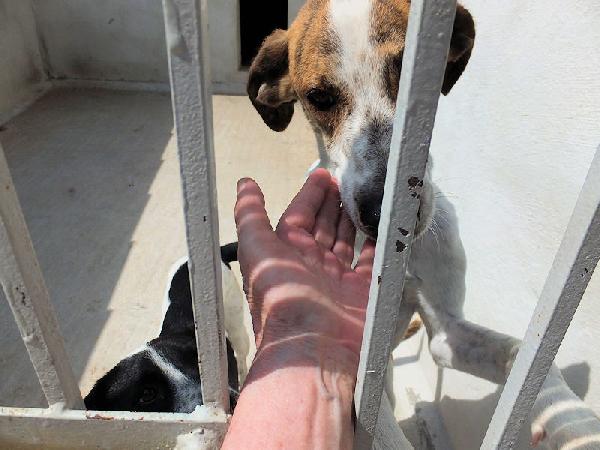 Roger bello e simpatico Foto 5