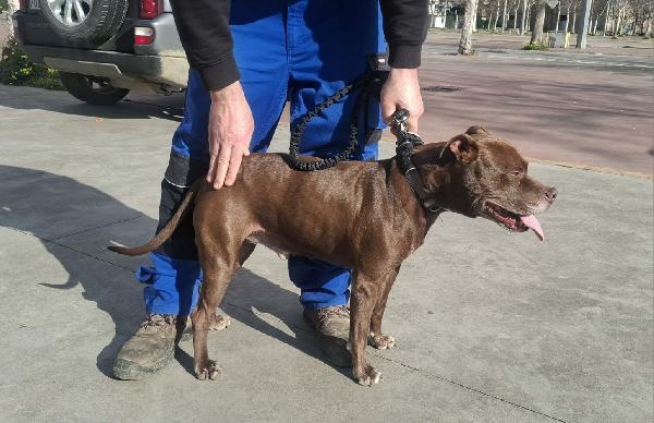 DOLCE SPIKE IN REGALO Foto 2