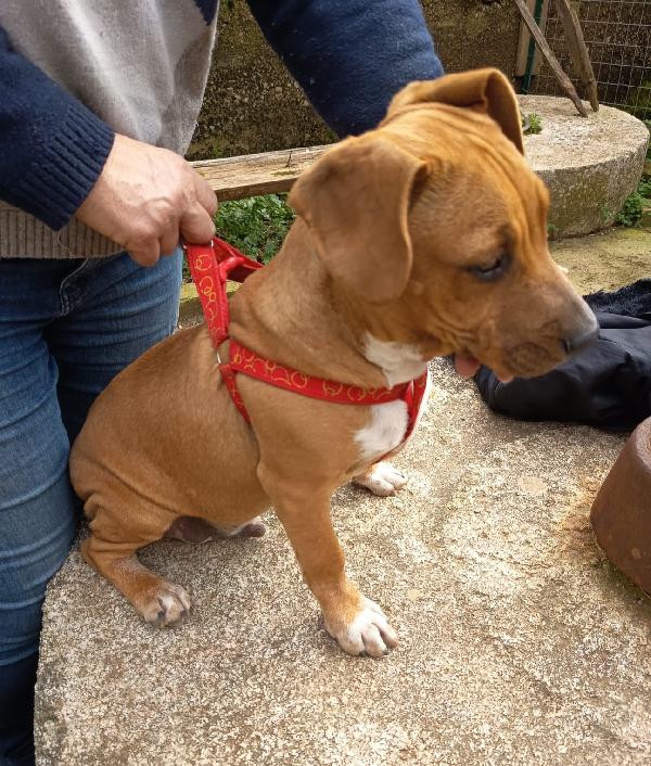 UNA MAMMA PER ARON  Foto 2