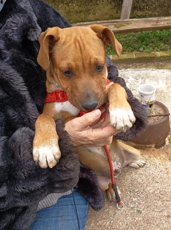 UNA MAMMA PER ARON  Foto 4