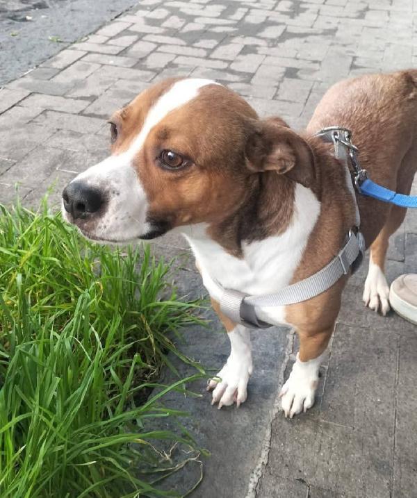 Kira L Hanno Messa Isolata In Campagna!! Sos Catania