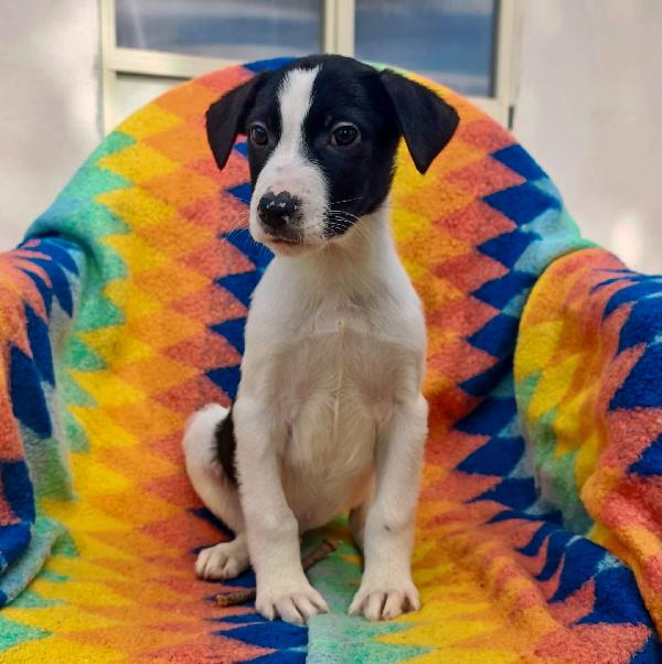 Sesamo🏩✨ Foto 3