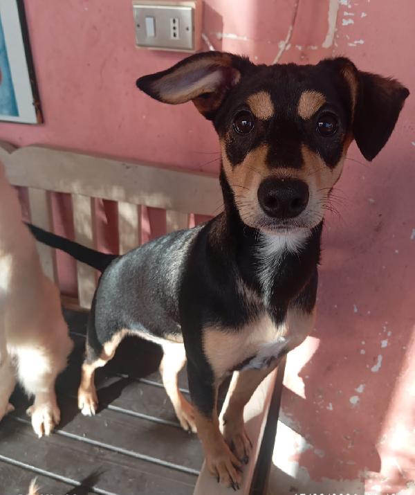 Leila 6Mesi Tg Contenuta Nera Focata! Sicilia