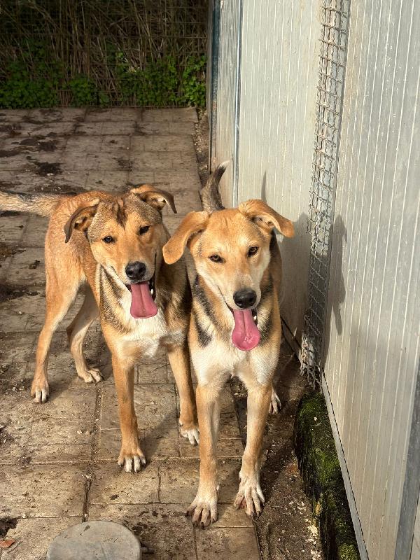 11 mesi: escluso da tutti Foto 4