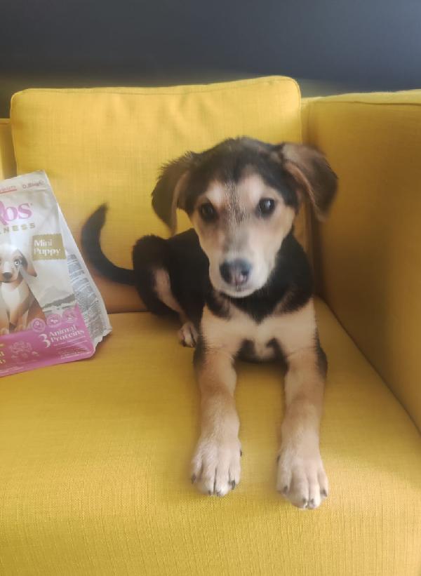 Alba solo 3 mesi Foto 2