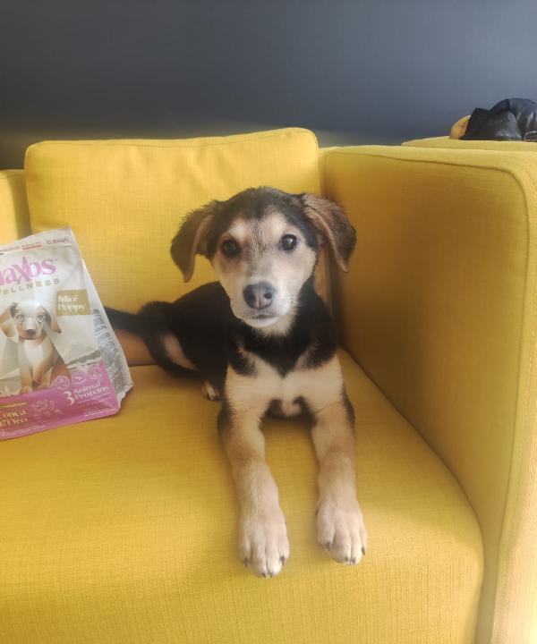 Alba solo 3 mesi Foto 3