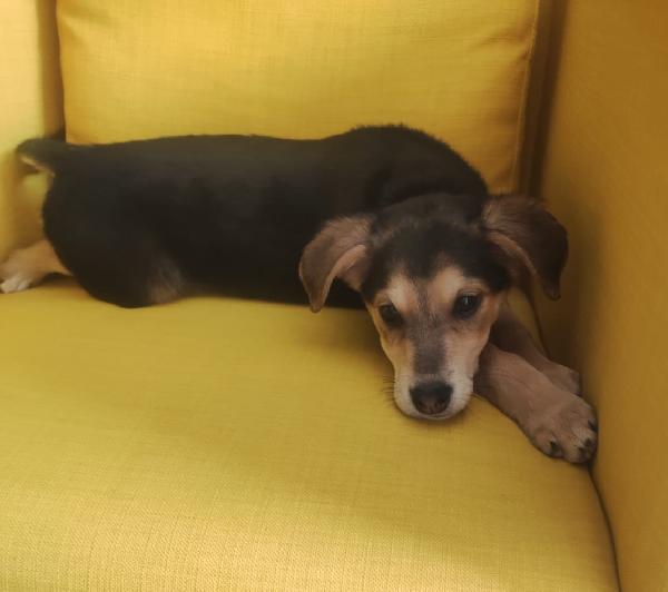 Alba solo 3 mesi Foto 5