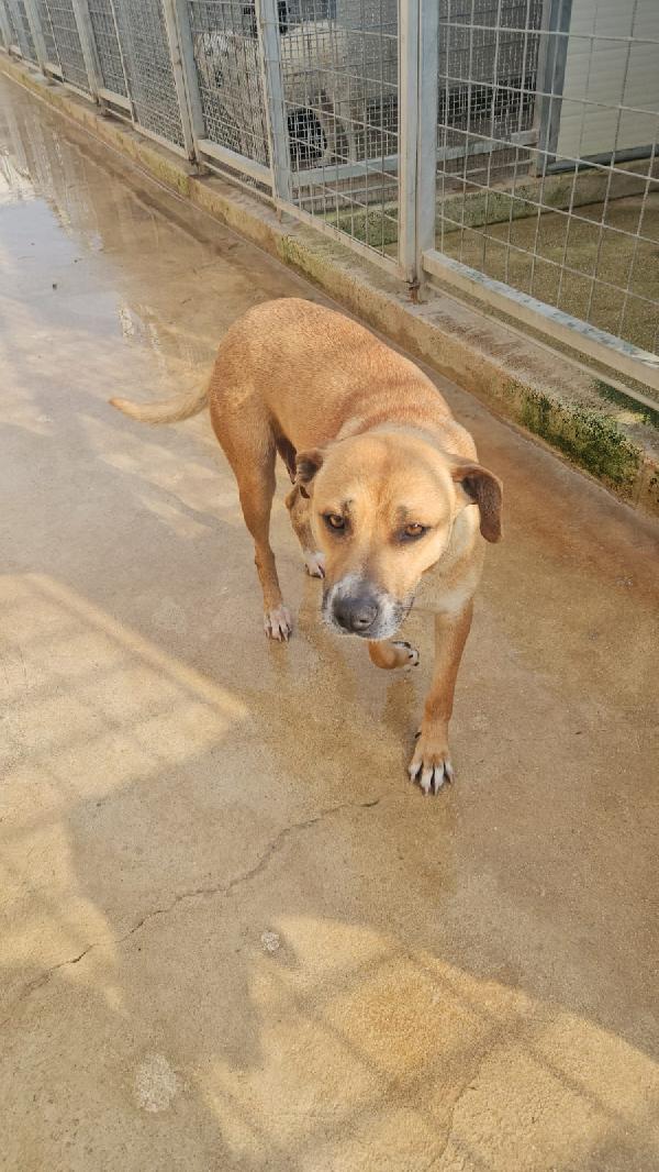 Peppina: dolce mammina socievole  Foto 4