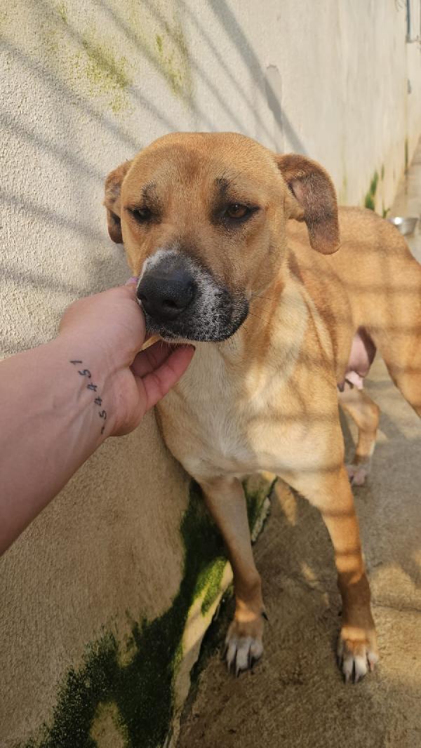 Peppina: dolce mammina socievole  Foto 5