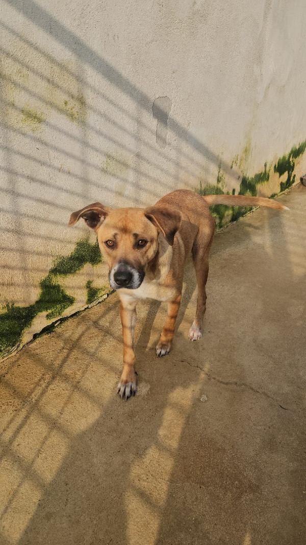 Peppina: dolce mammina socievole  Foto 6