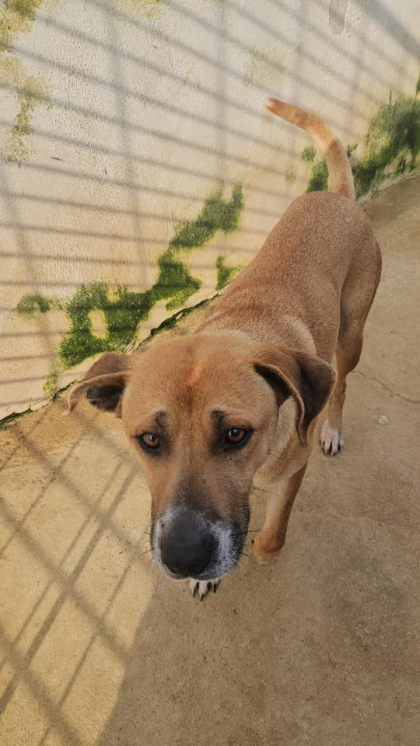 Peppina: dolce mammina socievole  Foto 8