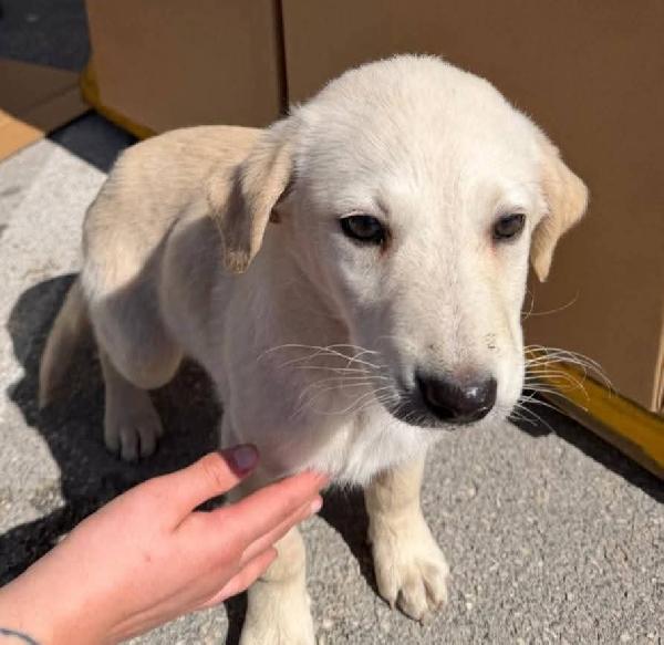 Mimi' e Coco' Foto 2