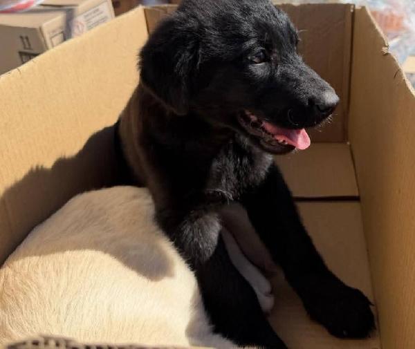 Mimi' e Coco' Foto 3