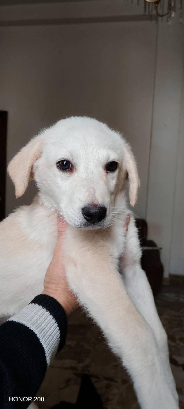 Mimi' e Coco' Foto 4