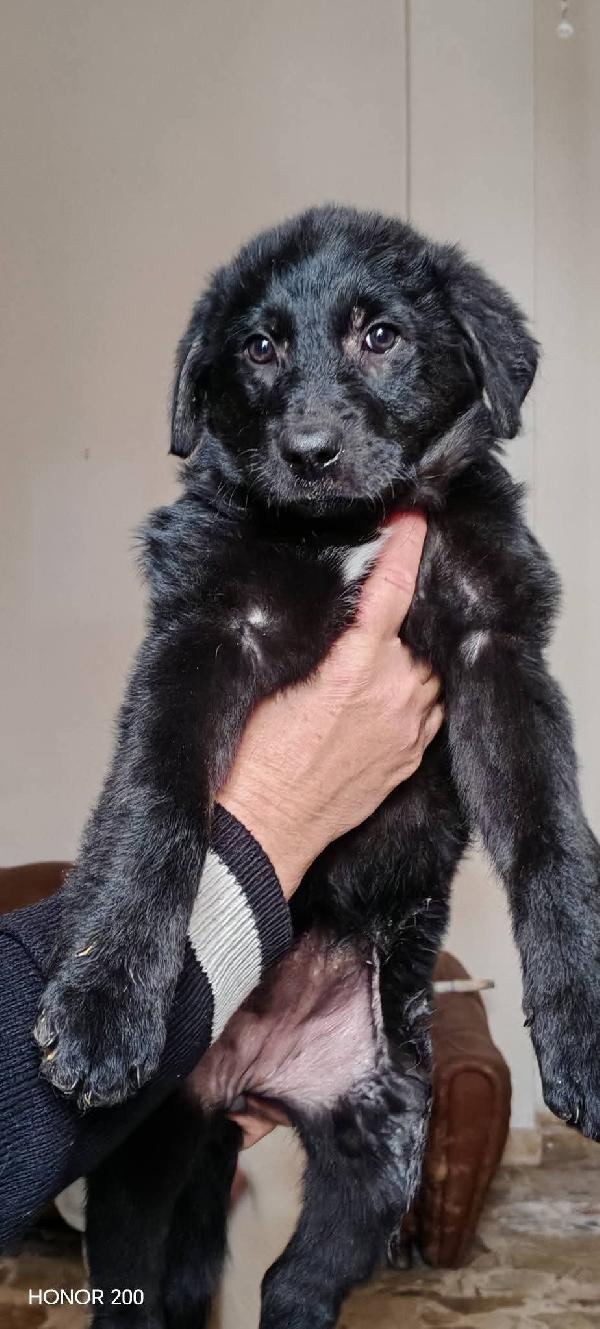 Mimi' e Coco' Foto 5