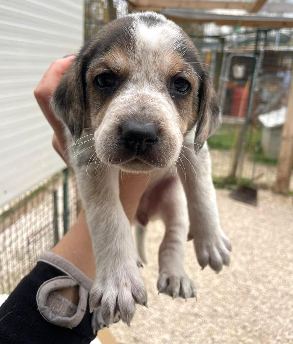 LA PICCOLA CELIA Foto 2