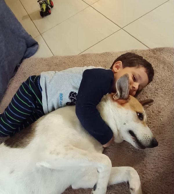 India splendida cagnolona cerca casa  Foto 6