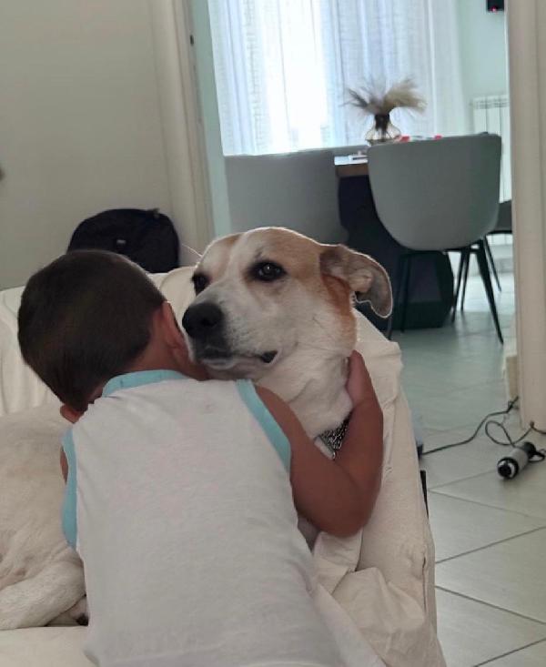 India splendida cagnolona cerca casa  Foto 8