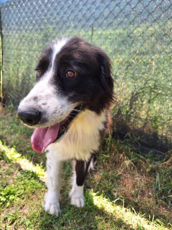 Moon stupenda nonnina Foto 2