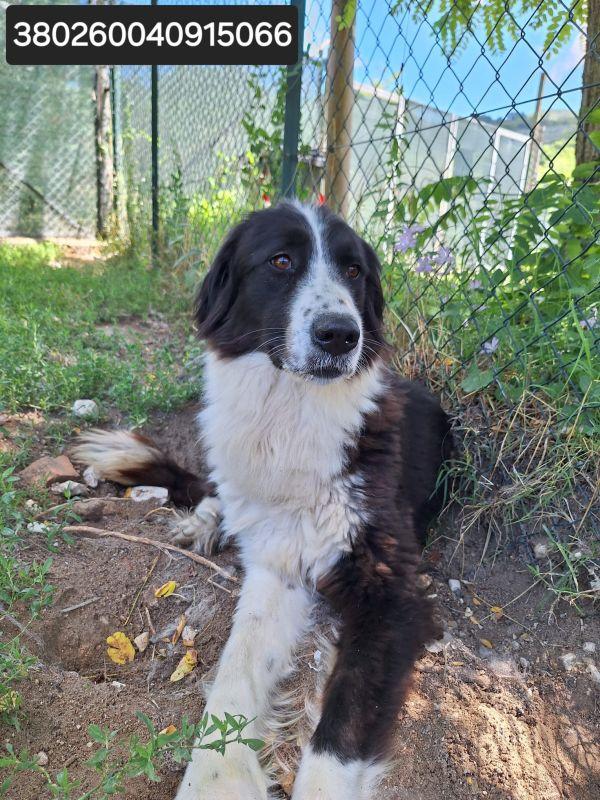 Moon stupenda nonnina Foto 5