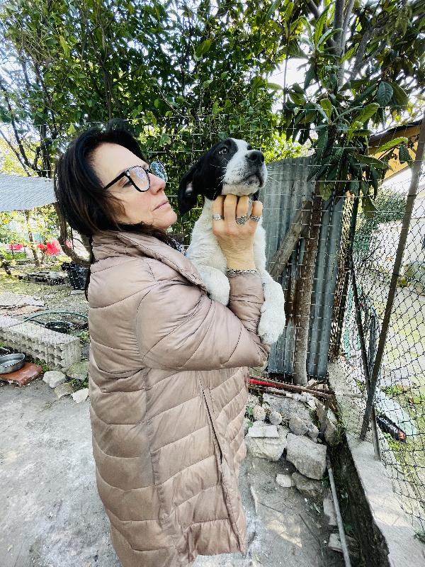 Thor e Taco in adozione  Foto 8