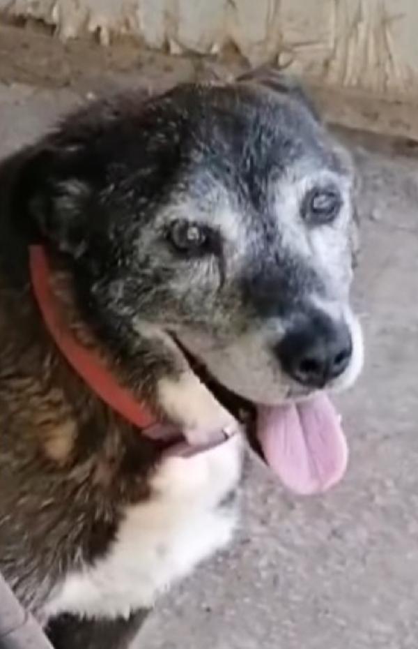 Lady 12/13Anni Una Vita Da Reclusa!!Napoli