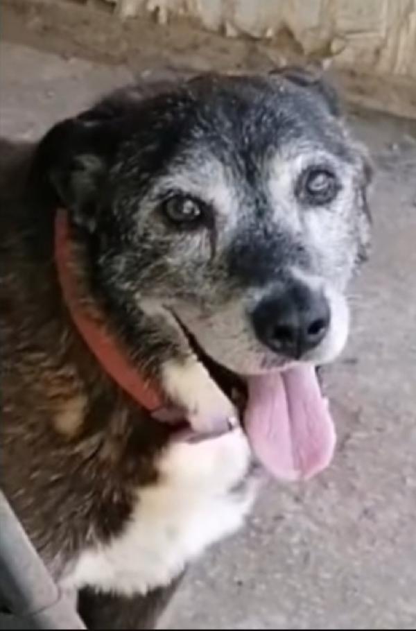 Lady 12/13anni una vita da reclusa!!NAPOLI Foto 2