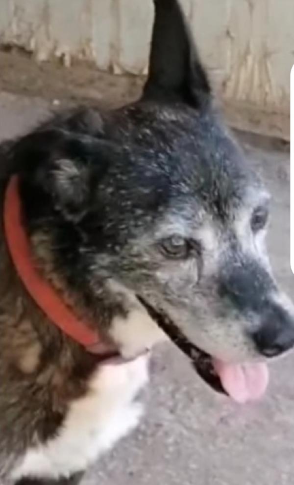 Lady 12/13anni una vita da reclusa!!NAPOLI Foto 3