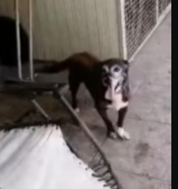 Lady 12/13anni una vita da reclusa!!NAPOLI Foto 4