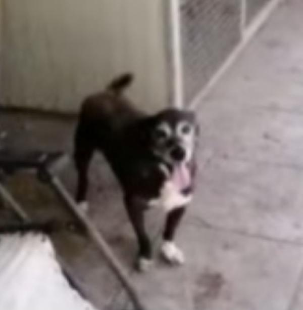 Lady 12/13anni una vita da reclusa!!NAPOLI Foto 5