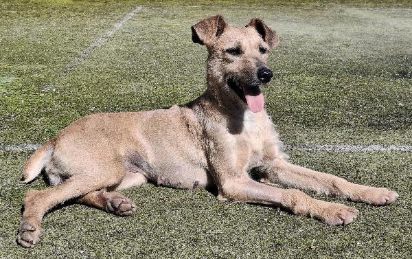 Eloise 2 anni Taglia media piccola  Foto 2