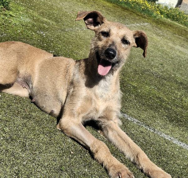 Eloise 2 anni Taglia media piccola  Foto 3