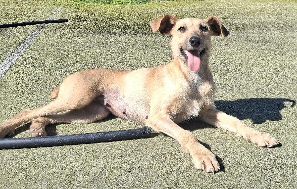 Eloise 2 anni Taglia media piccola  Foto 4