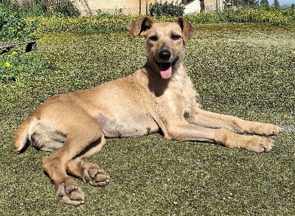 Eloise 2 anni Taglia media piccola  Foto 5