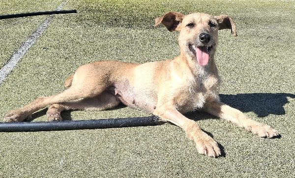 Eloise 2 anni Taglia media piccola  Foto 7