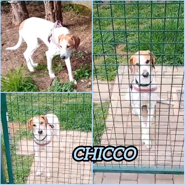 Una Famiglia Per Chicco