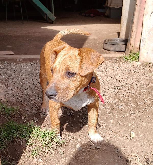 ARON ASPETTA UNA MAMMA  Foto 2