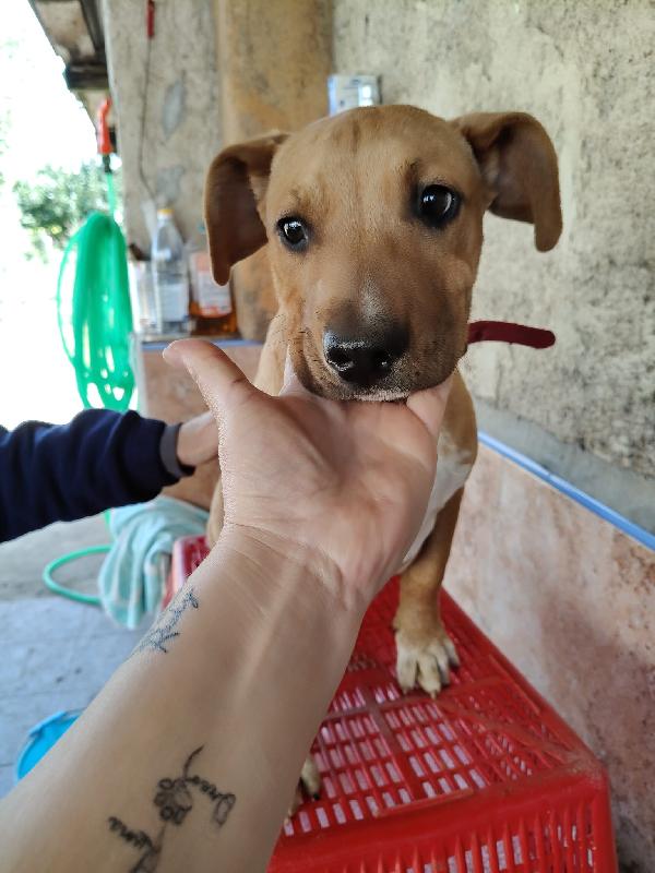 ARON ASPETTA UNA MAMMA  Foto 3